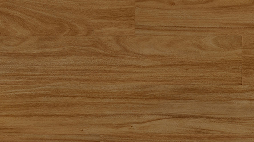 Cypress Pine SKU: 980102