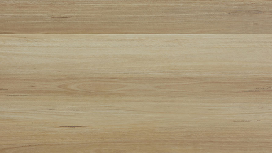 Coastal Blackbutt SKU: 880907